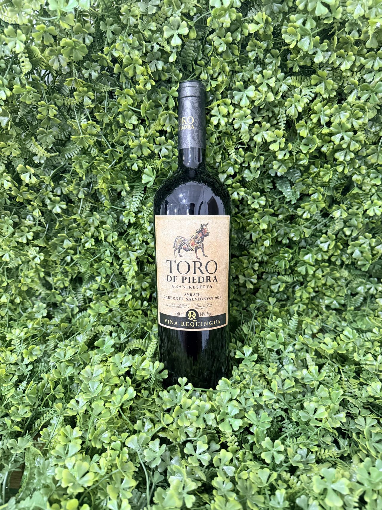 Toro de Piedra Gran Reserva Syrah/Cabernet Sauvignon