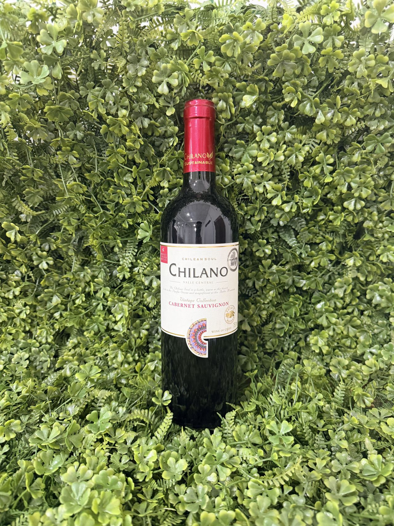 Chilano Cabernet Sauvignon