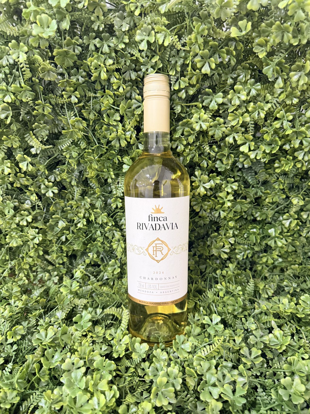 Finca Rivadavia Chardonnay